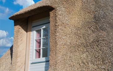 Muddiford thatch roof disadvantages